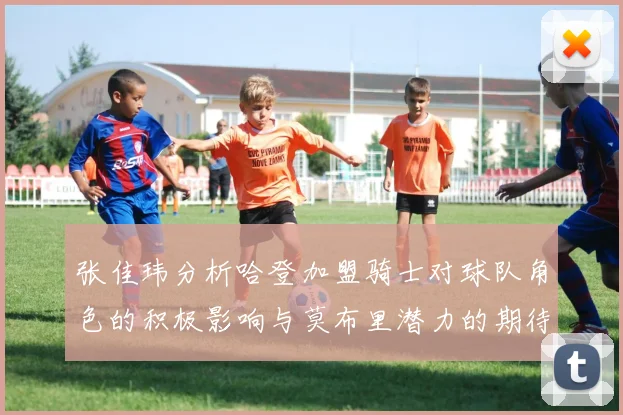 张佳玮分析哈登加盟骑士对球队角色的积极影响与莫布里潜力的期待