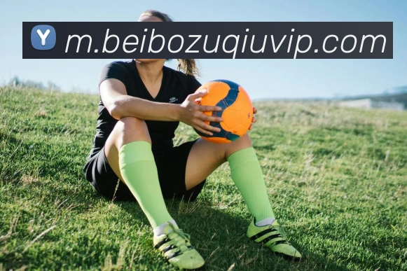 贝博体育APP 高清赛事图